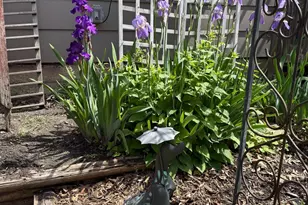 5441 Ridgeway St, White Bear Township, MN 55110 - Photo 67