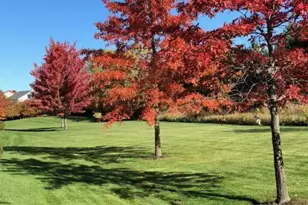 13902 Autumnwood Ct, Rosemount, MN 55068 - Photo 21