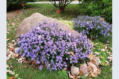 206 West Street, Walters, MN 56097 - Photo 39