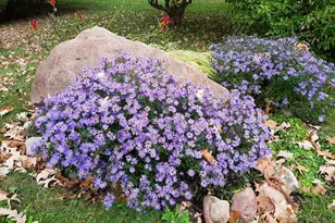 206 West St, Walters, MN 56097 - Photo 39