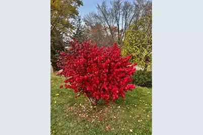 206 West Street, Walters, MN 56097 - Photo 43