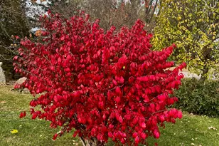 206 West St, Walters, MN 56097 - Photo 43