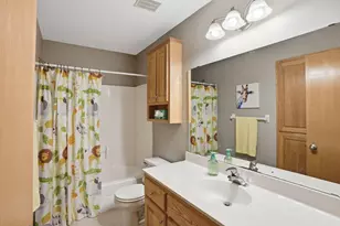 123 Shepherdia Ct, Watertown, MN 55388 - Photo 39