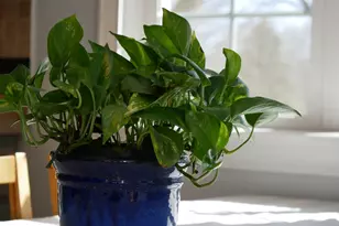 10962 Eagle St NW, Coon Rapids, MN 55433 - Photo 11