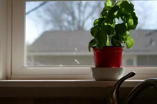 10962 Eagle St NW, Coon Rapids, MN 55433 - Photo 15