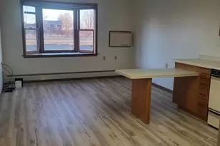 609 Main St S, Renville, MN 56284 - Photo 3