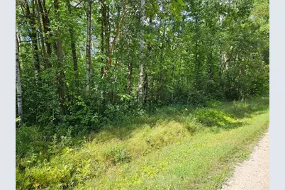 _ Birch Circle Drive NW, Baudette, MN 56623 - Photo 7