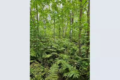 _ Birch Circle Drive NW, Baudette, MN 56623 - Photo 5