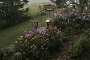 4803 White Pine Rd, Garrison, MN 56450 - Photo 3