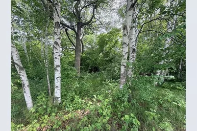 21781 Trestle Ridge Road, Albany, MN 56307 - Photo 3