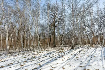 21781 Trestle Ridge Road, Albany, MN 56307 - Photo 9