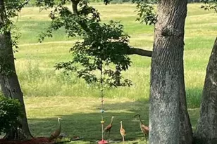 7076 115th St N, Grant, MN 55110 - Photo 53