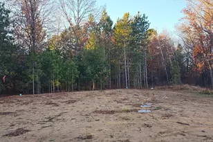 27532 Dahlia St NW, Isanti, MN 55040 - Photo 47