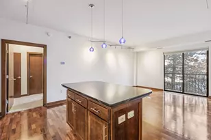 317 Groveland Ave, Minneapolis, MN 55403 - Photo 11