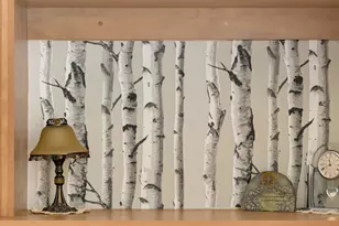 11677 Horizon Dr, Burnsville, MN 55337 - Photo 5