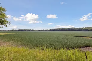 24X3 Holy Name Dr, Medina, MN 55340 - Photo 1