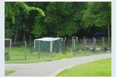 2945 County Road 4 SW #415, Cokato, MN 55321 - Photo 15