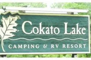 2945 County Road 4 SW, Cokato, MN 55321 - Photo 7