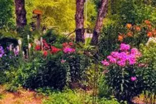 2945 County Road 4 SW, Cokato, MN 55321 - Photo 19