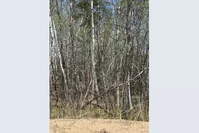 Tbd Lakeview Lane, Merrifield, MN 56465 - Photo 3