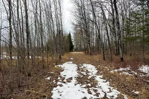 28465 Hwy 71 NE, Blackduck, MN 56630 - Photo 49