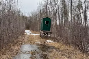 28465 Hwy 71 NE, Blackduck, MN 56630 - Photo 53