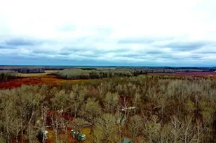 61613 Park Hills Rd, Bruno, MN 55712 - Photo 1