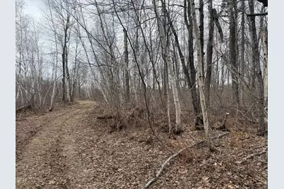 61613 Park Hills Road, Bruno, MN 55712 - Photo 23