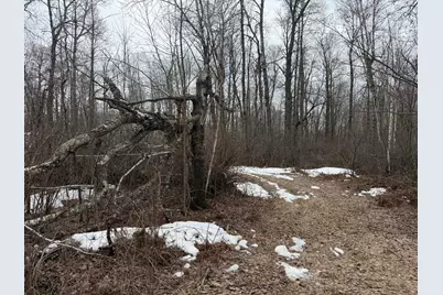 61613 Park Hills Road, Bruno, MN 55712 - Photo 13