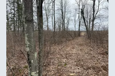 61613 Park Hills Road, Bruno, MN 55712 - Photo 29