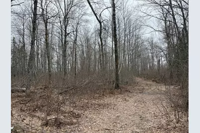 61613 Park Hills Road, Bruno, MN 55712 - Photo 23