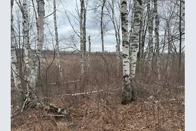 61613 Park Hills Road, Bruno, MN 55712 - Photo 37