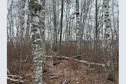 61613 Park Hills Road, Bruno, MN 55712 - Photo 35