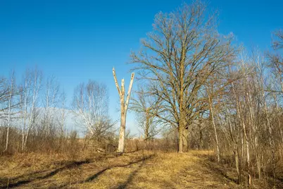 Tbd 73rd Street, Hillman, MN 56338 - Photo 41