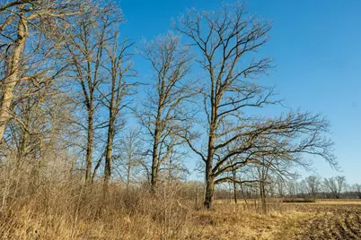 Tbd 73rd Street, Hillman, MN 56338 - Photo 49