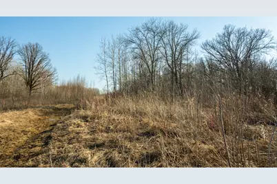 Tbd 73rd Street, Hillman, MN 56338 - Photo 39