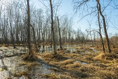 Tbd 73rd Street, Hillman, MN 56338 - Photo 47