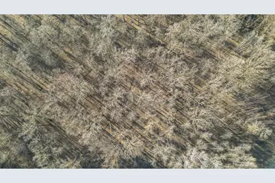 Tbd 73rd Street, Hillman, MN 56338 - Photo 15