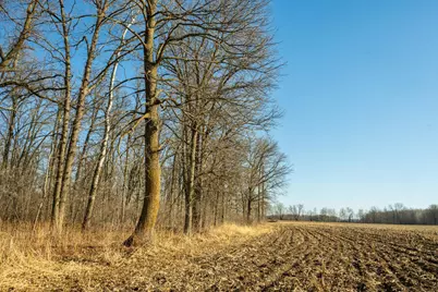 Tbd 73rd Street, Hillman, MN 56338 - Photo 25