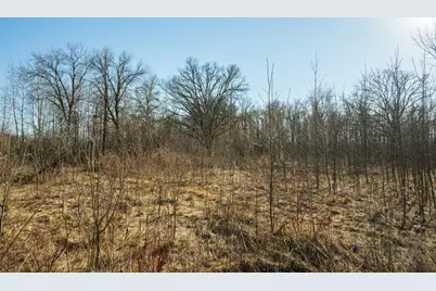 Tbd 73rd Street, Hillman, MN 56338 - Photo 37