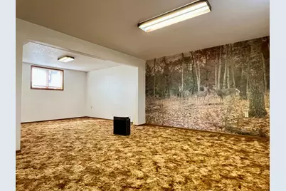 509 1st Street, Bellingham, MN 56212 - Photo 17