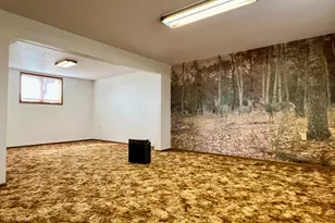 509 1st St, Bellingham, MN 56212 - Photo 17