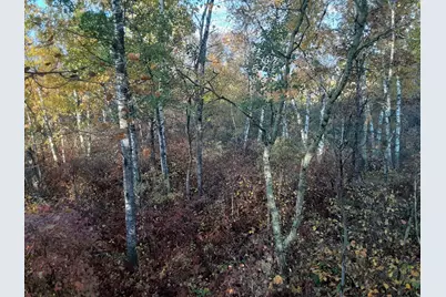 31538 County 23, Akeley, MN 56433 - Photo 57