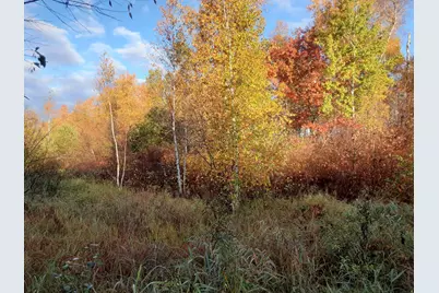 31538 County 23, Akeley, MN 56433 - Photo 27