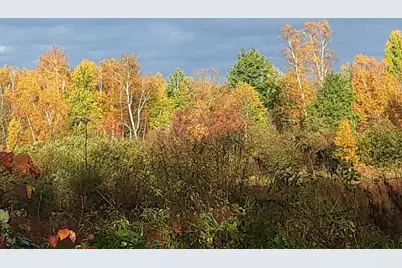 31538 County 23, Akeley, MN 56433 - Photo 51