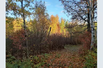 31538 County 23, Akeley, MN 56433 - Photo 63