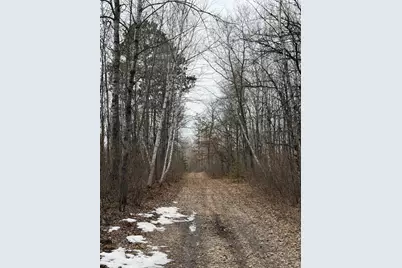 31538 County 23, Akeley, MN 56433 - Photo 43