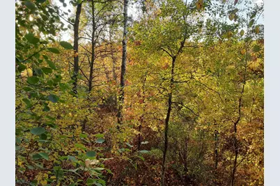 31538 County 23, Akeley, MN 56433 - Photo 25