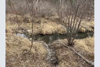 31538 County 23, Akeley, MN 56433 - Photo 45