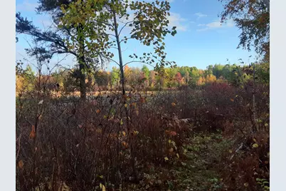 31538 County 23, Akeley, MN 56433 - Photo 71